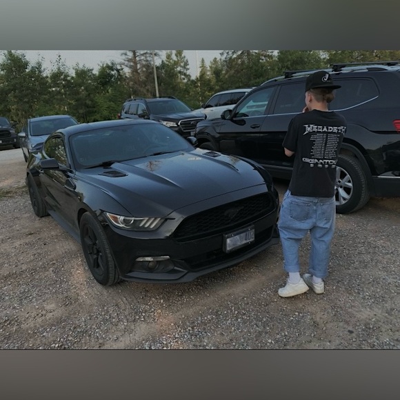 Meet your Posher, Ashlynn - Picture 5 of 9